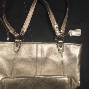 Mini Coach bag
